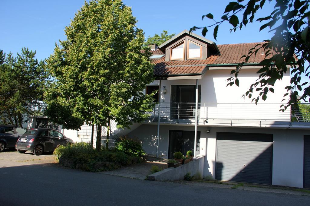 Ferienwohnung Bluetenweg Kluftern Friedrichshafen Kültér fotó